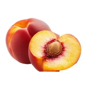 Nectarinier Prunus persica var. nucipersica en verger fruiter à la pépinière de Vestric-et-Candiac dans le Gard.
