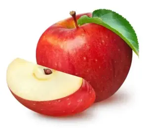 Pommier domestique Malus domestica en verger à la pépinière de Vestric-et-Candiac dans le Gard.